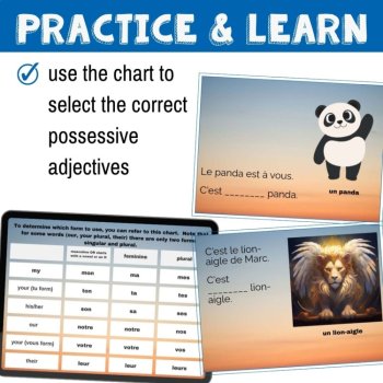 French Grammar Boom Cards Possessive Adjectives Mon Ma Mes Activity, image 2
