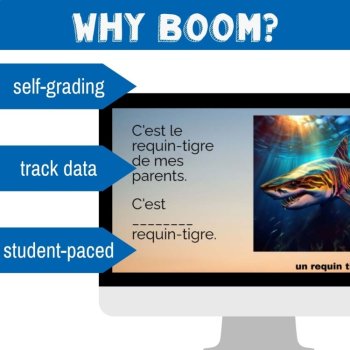 French Grammar Boom Cards Possessive Adjectives Mon Ma Mes Activity, image 4