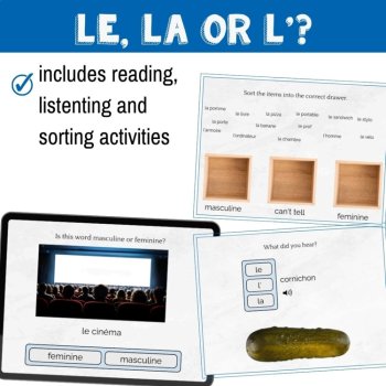French grammar masculine or feminine le/la/l' lesson - Boom™ Cards, image 2