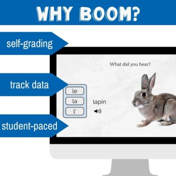 French grammar masculine or feminine le/la/l' lesson - Boom™ Cards, image 4