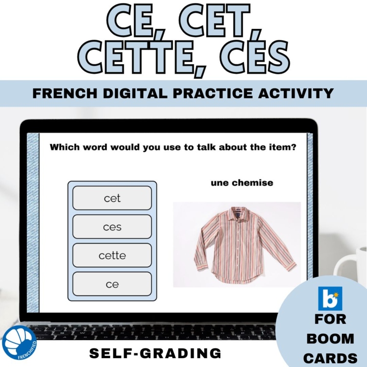 French Boom cards French grammar ce, cet, cette, ces practice game