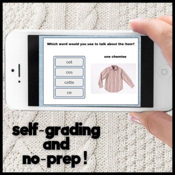 French Boom cards French grammar ce, cet, cette, ces practice game, image 2