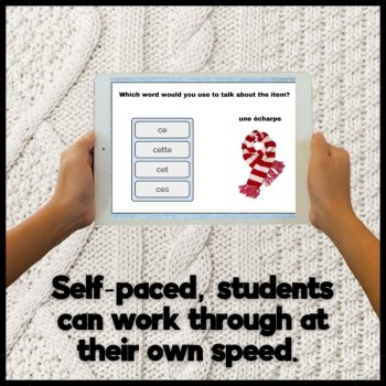 French Boom cards French grammar ce, cet, cette, ces practice game, image 4