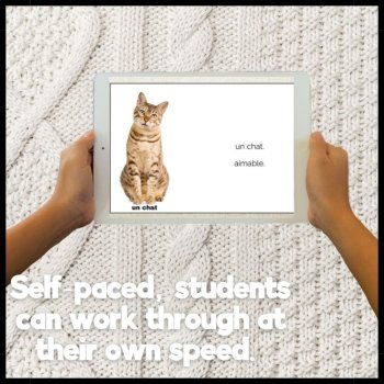C’est and Il Est Boom Cards | French Grammar Digital Task Cards, image 4