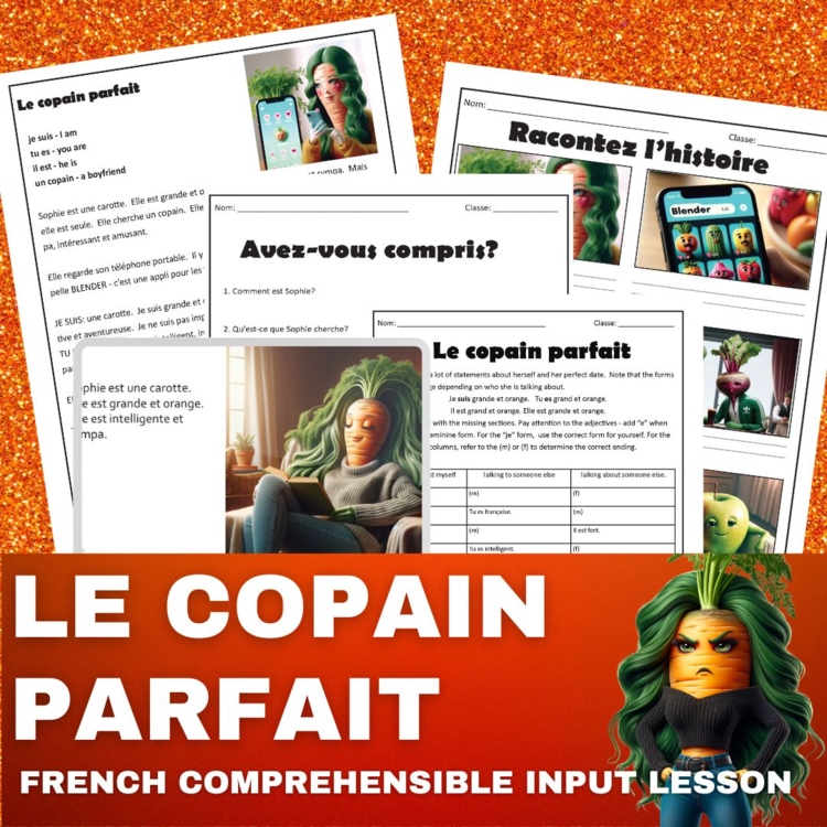 French novice level reading activity short story être French adjectives practice