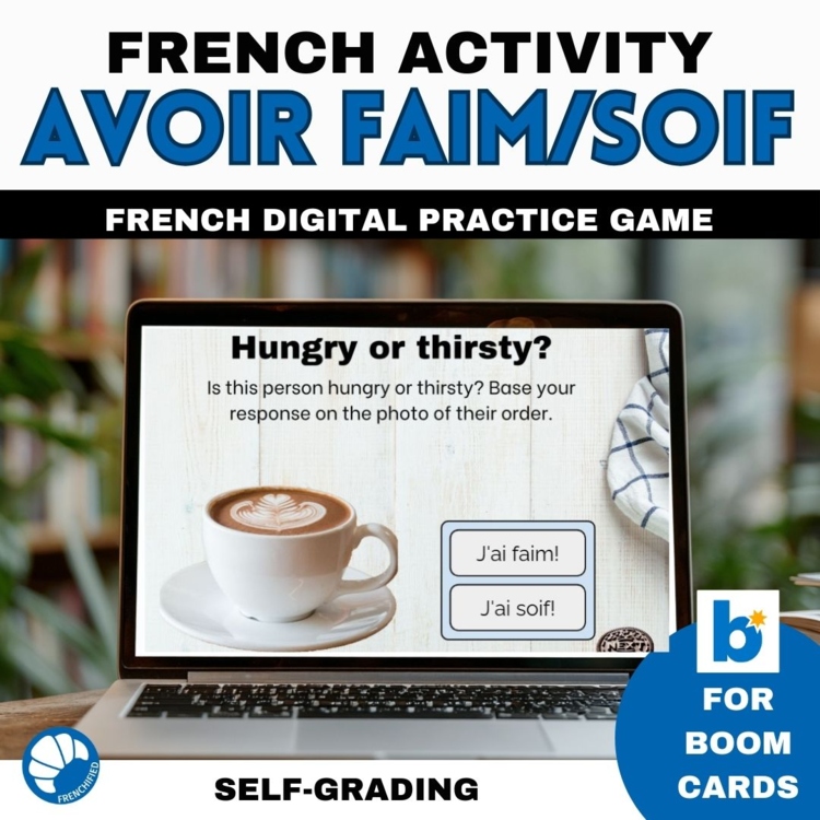 Beginning French avoir faim avoir soif French grammar digital practice activity