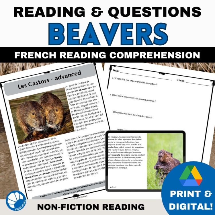 Differentiated French Reading Comprehension | Beavers Les Castors