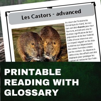 Differentiated French Reading Comprehension | Beavers Les Castors, image 2