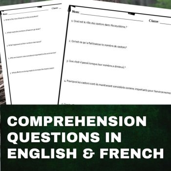 Differentiated French Reading Comprehension | Beavers Les Castors, image 3