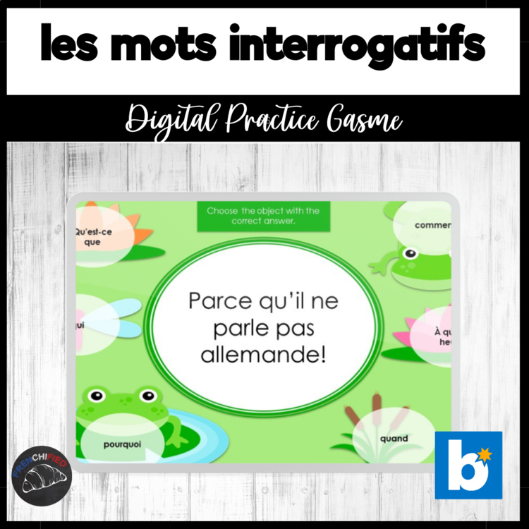 French question words vocabulary asking questions digital practice activity