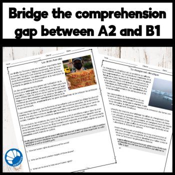 Intermediate French Reading Comprehension | Global Problems Passages, image 2