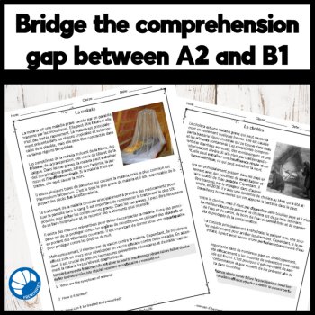 French Reading Comprehension | 10 Disease Passages A2-B1 with Questions, image 2