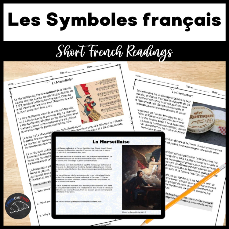 French novice level reading comprehension worksheets French symbols questions