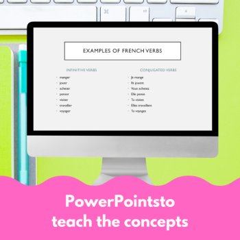 French subject pronouns, verbs, adjectives, negatives worksheets & lesson plans, image 2