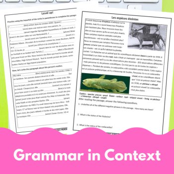 French subject pronouns, verbs, adjectives, negatives worksheets & lesson plans, image 4