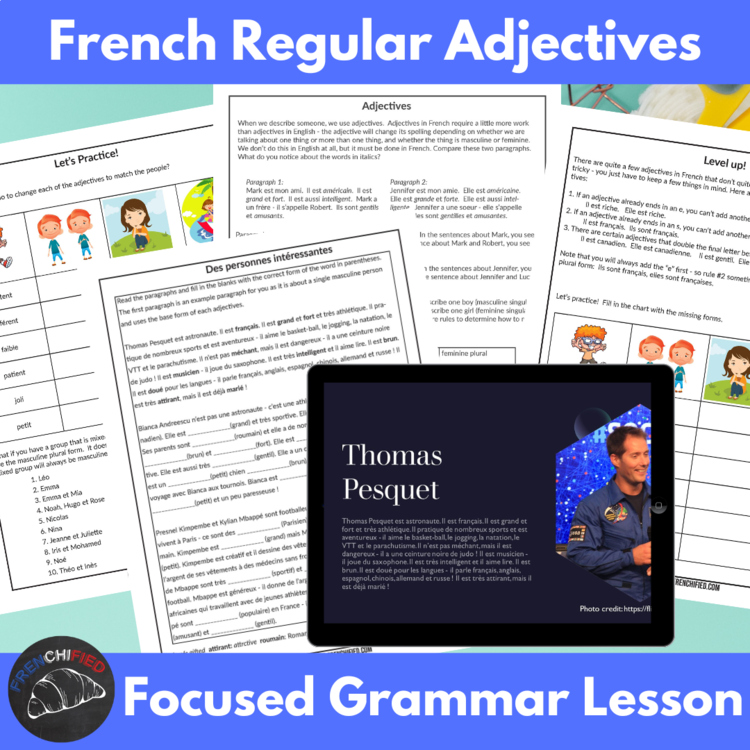 French adjectives grammar unit complete lesson plan powerpoint and worksheets