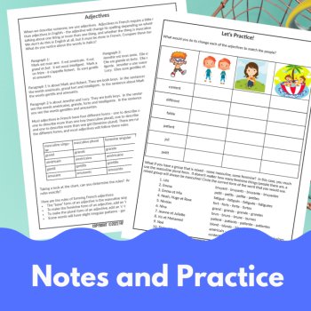 French adjectives grammar unit complete lesson plan powerpoint and worksheets, image 3