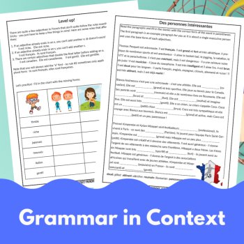 French adjectives grammar unit complete lesson plan powerpoint and worksheets, image 4