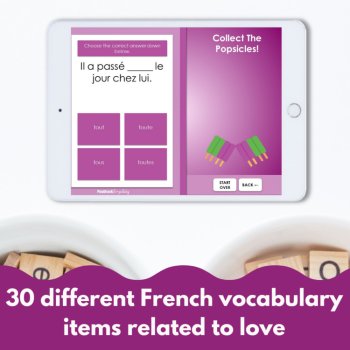 French Digital game French adjective activity tout, toute, tous, toutes, image 3