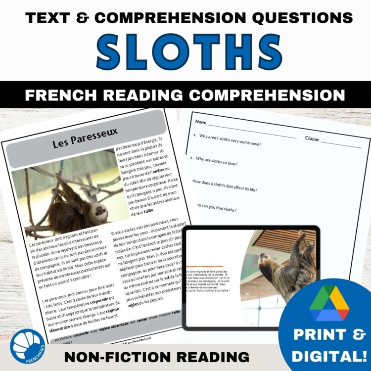 Intermediate French reading Compréhension de Lecture and worksheets Sloths