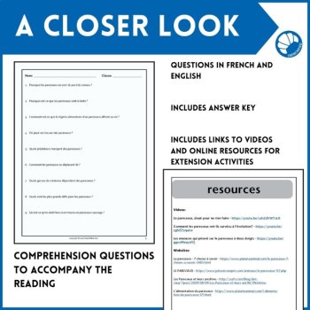 Intermediate French reading Compréhension de Lecture and worksheets Sloths, image 4