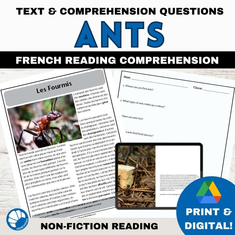 French Reading Comprehension | Ants / Les Fourmis