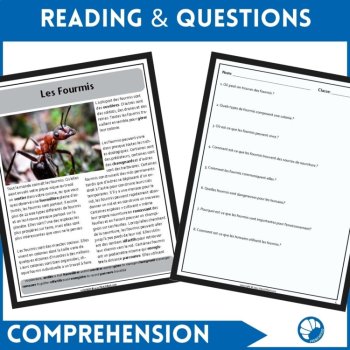French Reading Comprehension | Ants / Les Fourmis, image 2