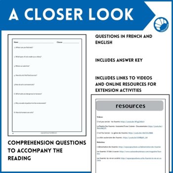 French Reading Comprehension | Ants / Les Fourmis, image 4
