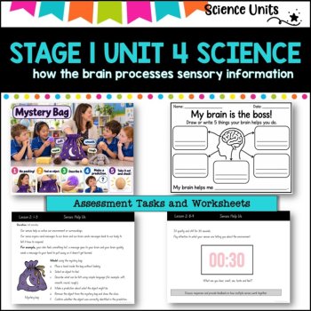 STAGE 1 UNIT 4 NSW aligned SCIENCE-how the brain processes sensory information, image 2