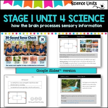 STAGE 1 UNIT 4 NSW aligned SCIENCE-how the brain processes sensory information, image 3