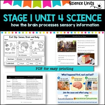 STAGE 1 UNIT 4 NSW aligned SCIENCE-how the brain processes sensory information, image 4