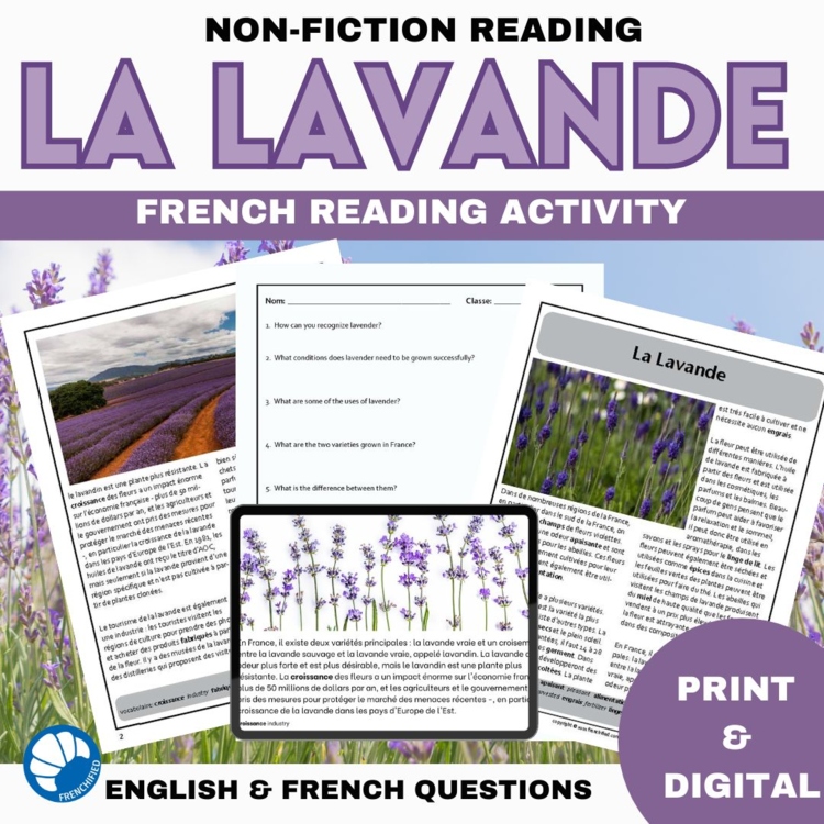 Lavender French reading comprehension and questions la lavande