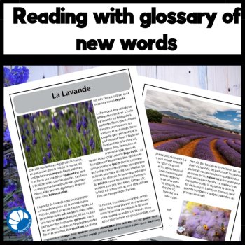 Lavender French reading comprehension and questions la lavande, image 2