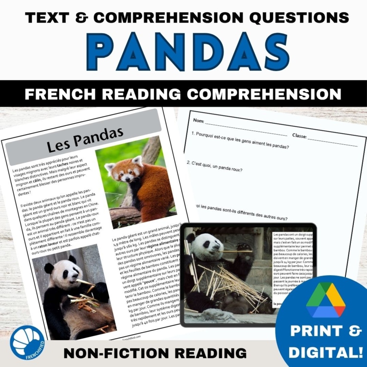Intermediate French reading Comprehension and questions Panda Bears