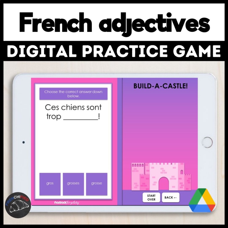 French irregular adjectives activity digital game self-grading