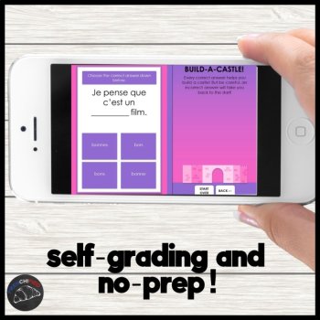 French irregular adjectives activity digital game self-grading, image 2