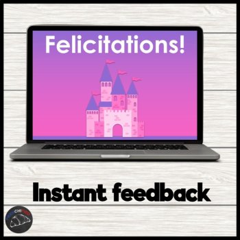 French irregular adjectives activity digital game self-grading, image 3