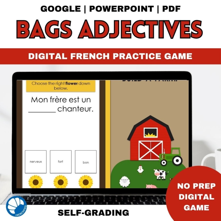 French BAGS Adjectives Practice | Self-Grading Digital Game | No Prep