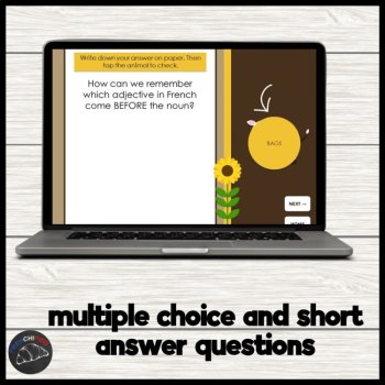 French BAGS Adjectives Practice | Self-Grading Digital Game | No Prep, image 3
