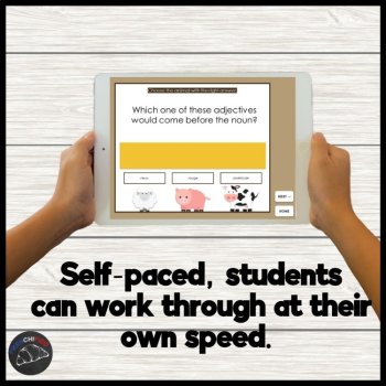 French BAGS Adjectives Practice | Self-Grading Digital Game | No Prep, image 4