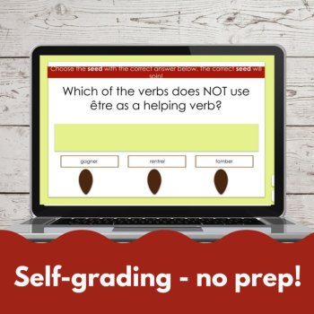 French Passé Composé with être digital game - Vandertramp verbs grammar game, image 2