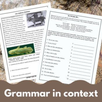 French grammar lesson and worksheets - French negatives ne pas, image 4