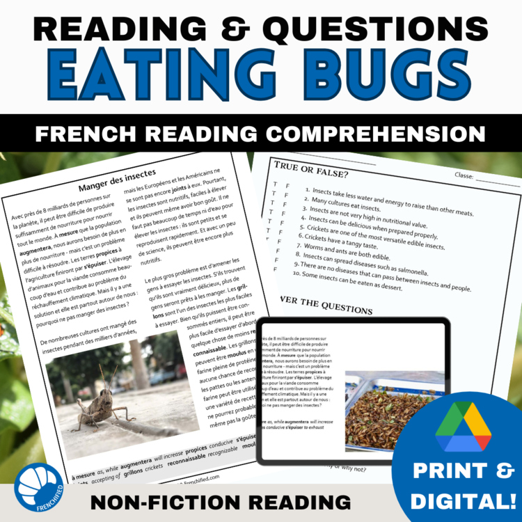 French Reading Comprehension | Manger des Insectes Eating Bugs