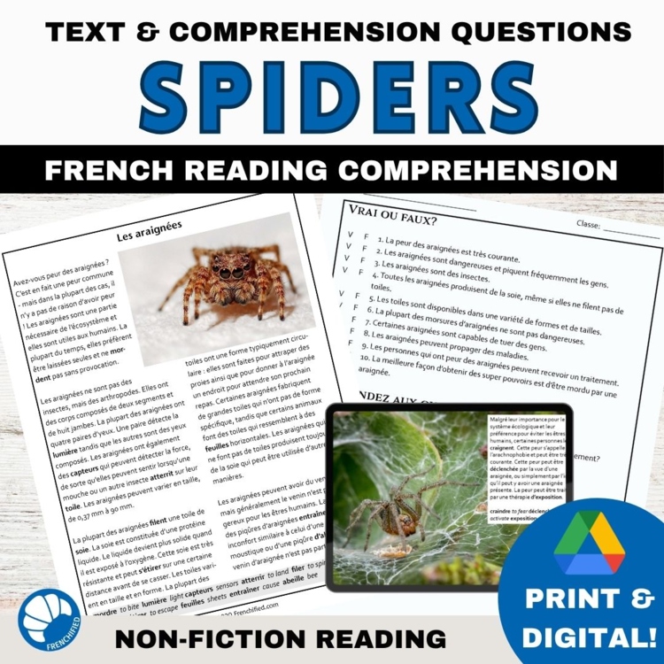 Intermediate French Reading Comprehension | Spiders / Les araignée
