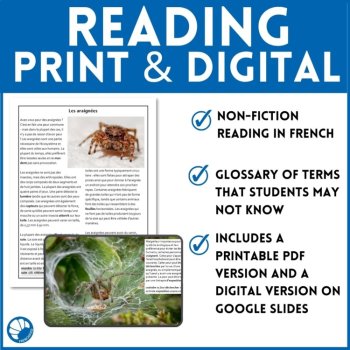 Intermediate French Reading Comprehension | Spiders / Les araignée, image 3