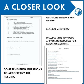 Intermediate French Reading Comprehension | Spiders / Les araignée, image 4