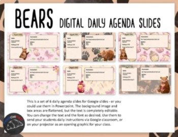 Bear Themed Daily Agenda Slides | 6 Editable Morning Meeting Slides, image 3