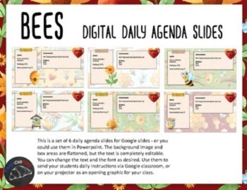 Bee Theme Daily Agenda Slides | 6 Editable Morning Meeting Slides, image 2
