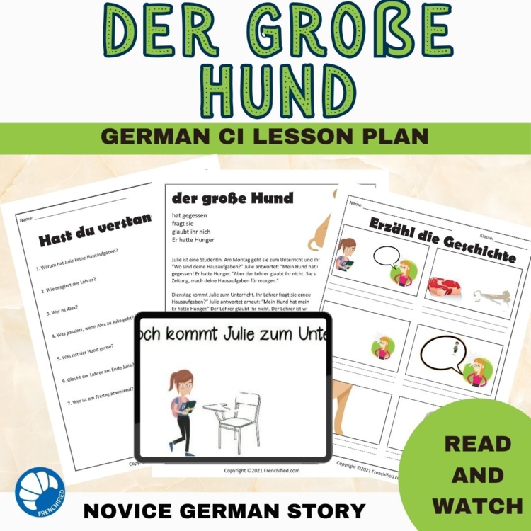 Beginning German reading comprehension short story worksheet CI der große Hund