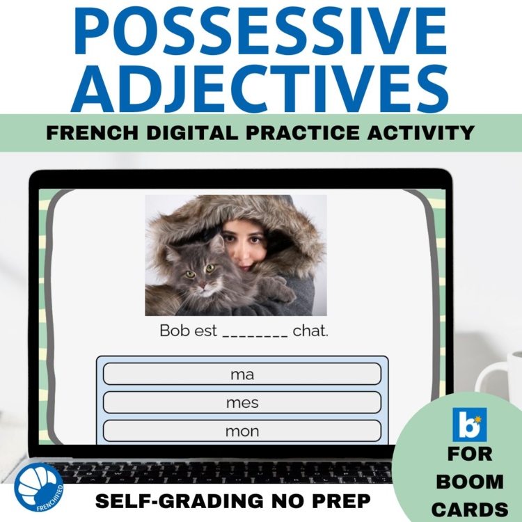 French possessive adjectives activity notre/nos, votre/vos leur/leurs